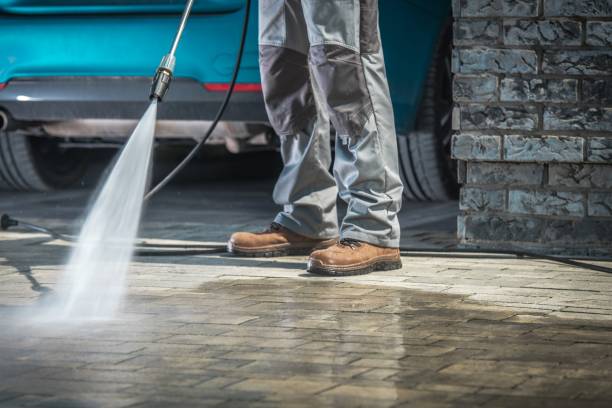 Best Driveway Pressure Washing  in El Cerro, NM